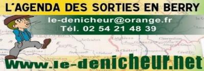 Logo_le_denicheur