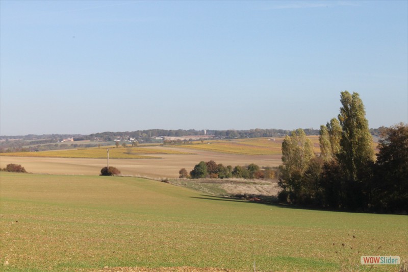 2016-10-31 VIGNOUX en automne (05)