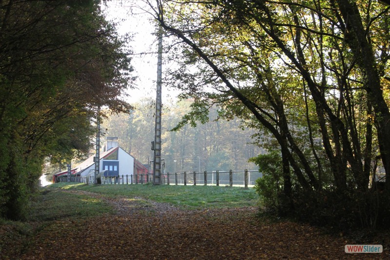 2016-10-31 VIGNOUX en automne (08)