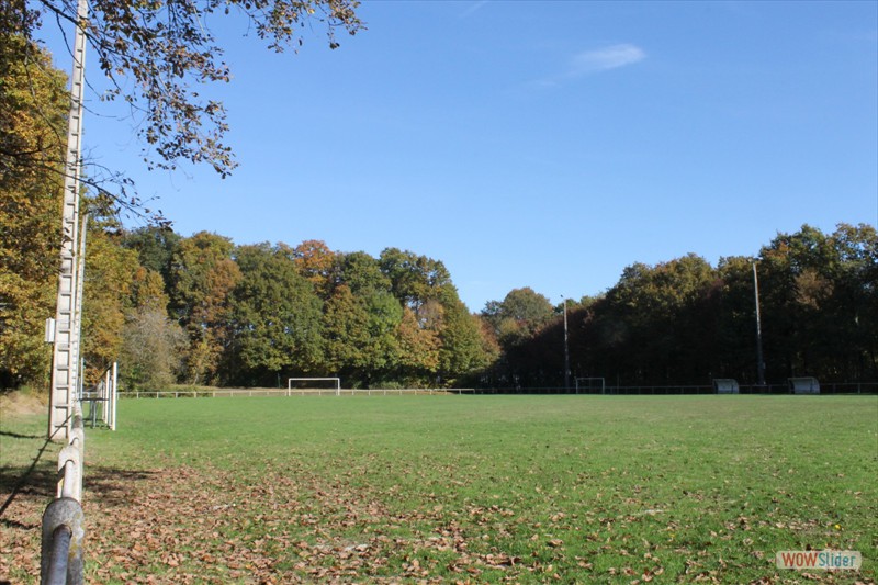 2016-10-31 VIGNOUX en automne (09)