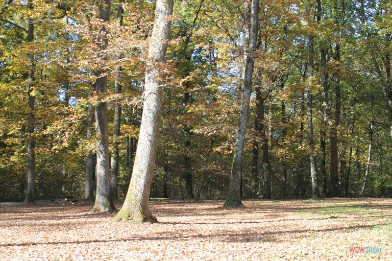 2016-10-31 VIGNOUX en automne (10)