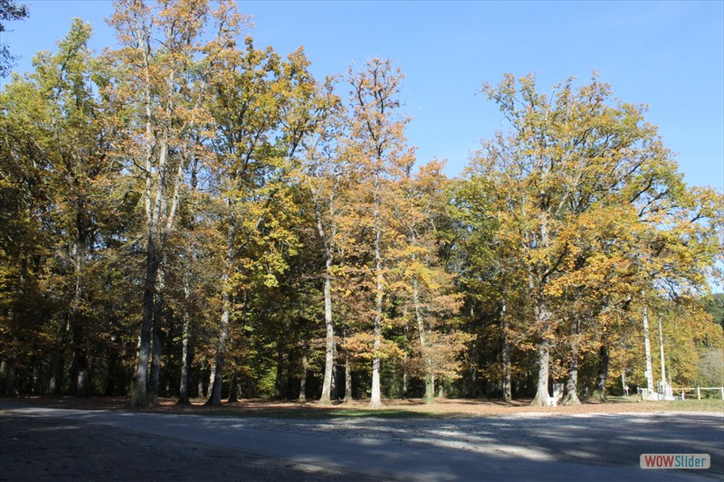 2016-10-31 VIGNOUX en automne (11)