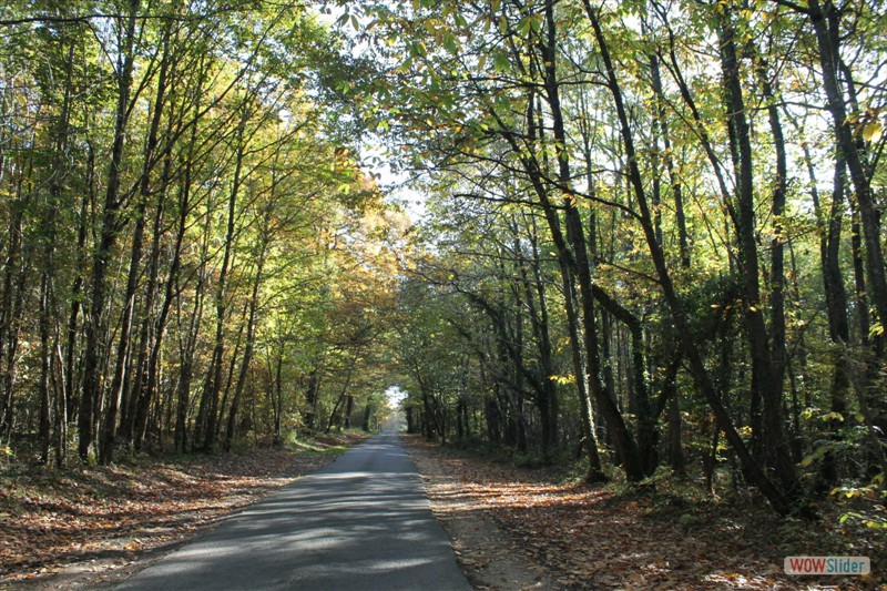 2016-10-31 VIGNOUX en automne (14)