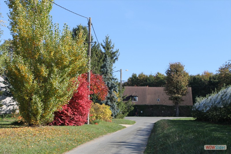 2016-10-31 VIGNOUX en automne (15)