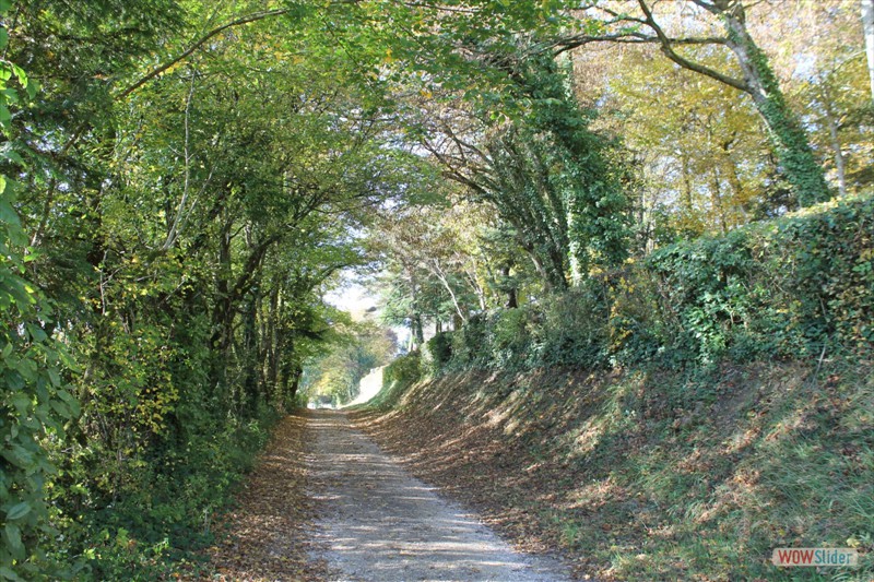 2016-10-31 VIGNOUX en automne (18)