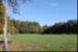 2016-10-31 VIGNOUX en automne (09)