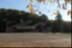 2016-10-31 VIGNOUX en automne (12)